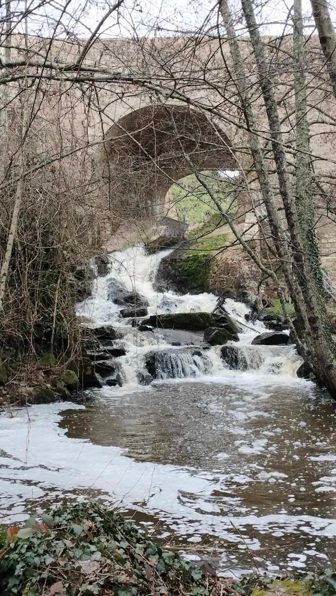 Gite "La Petite" Saint-Benoit-du-Sault Exterior foto
